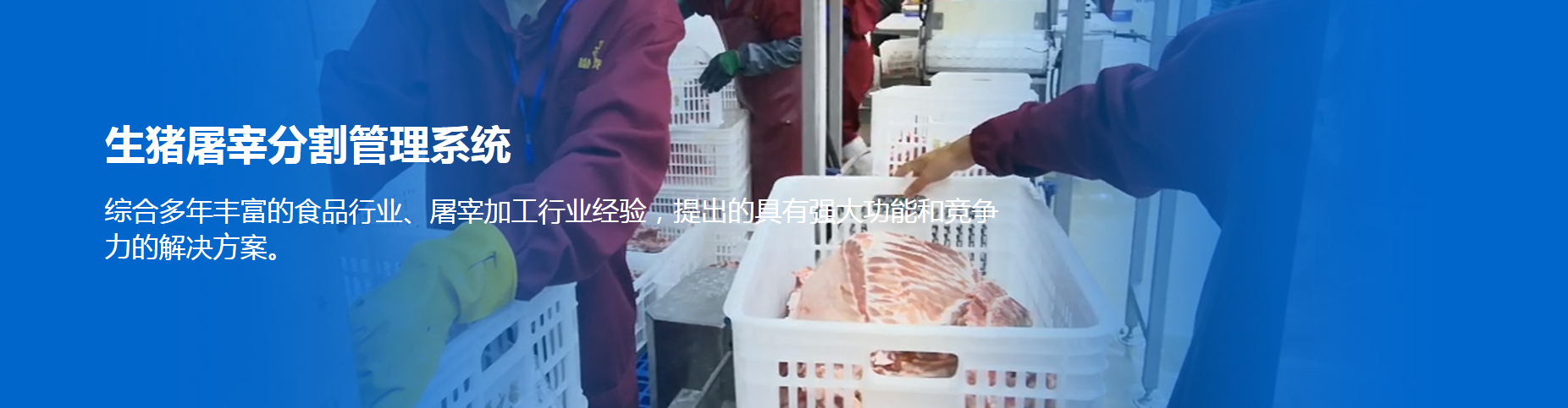 生猪屠宰信息管理系统1.png